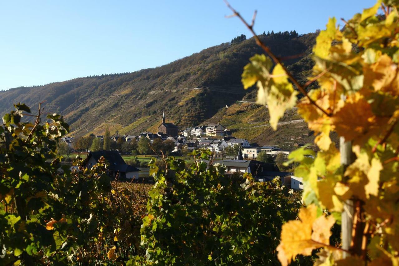 Ferienwohnung Moselblick-Stein Valwig Eksteriør bilde