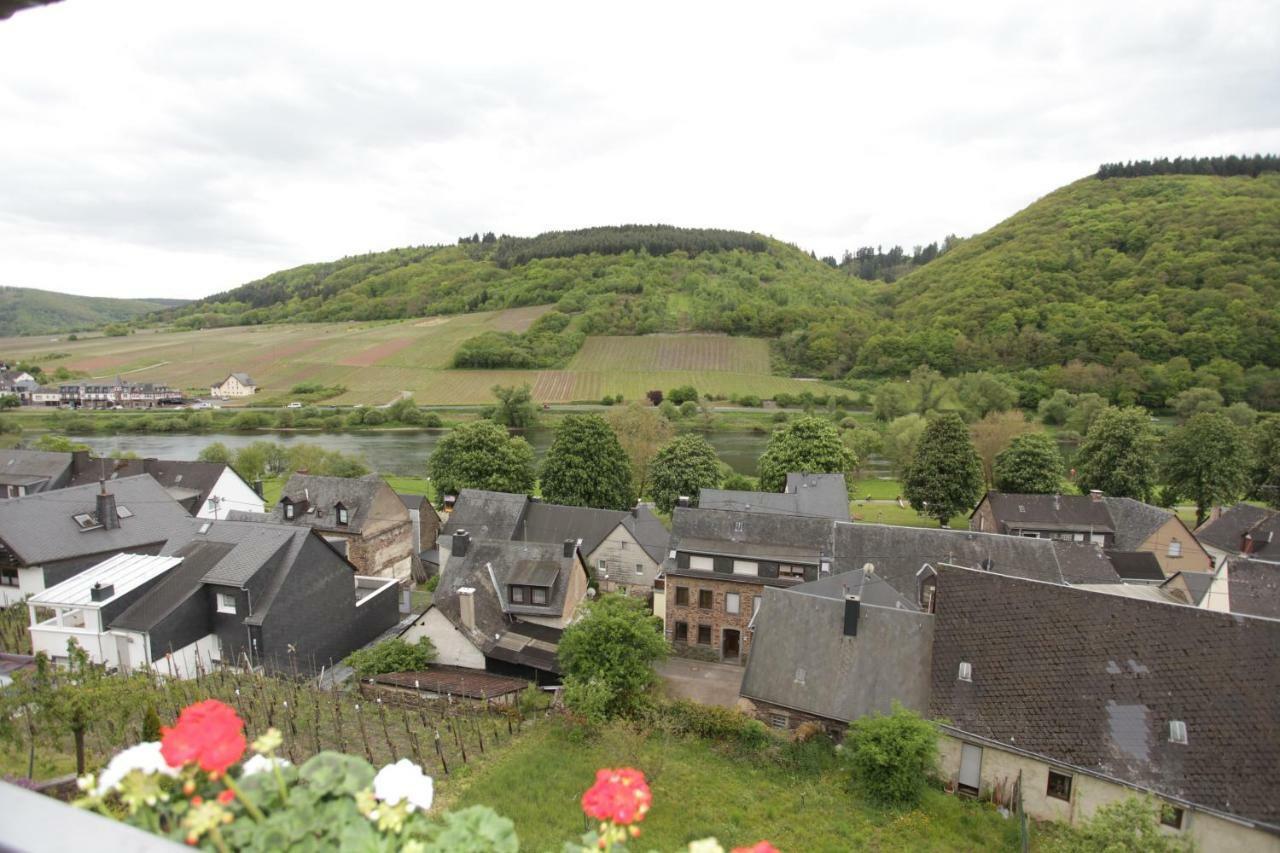 Ferienwohnung Moselblick-Stein Valwig Eksteriør bilde